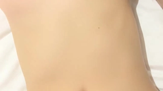含羞草的作文南京大奶反差研究生