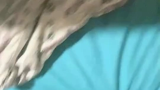 夜夜钟合网露脸上位爱爆脏话的大胸妹妹